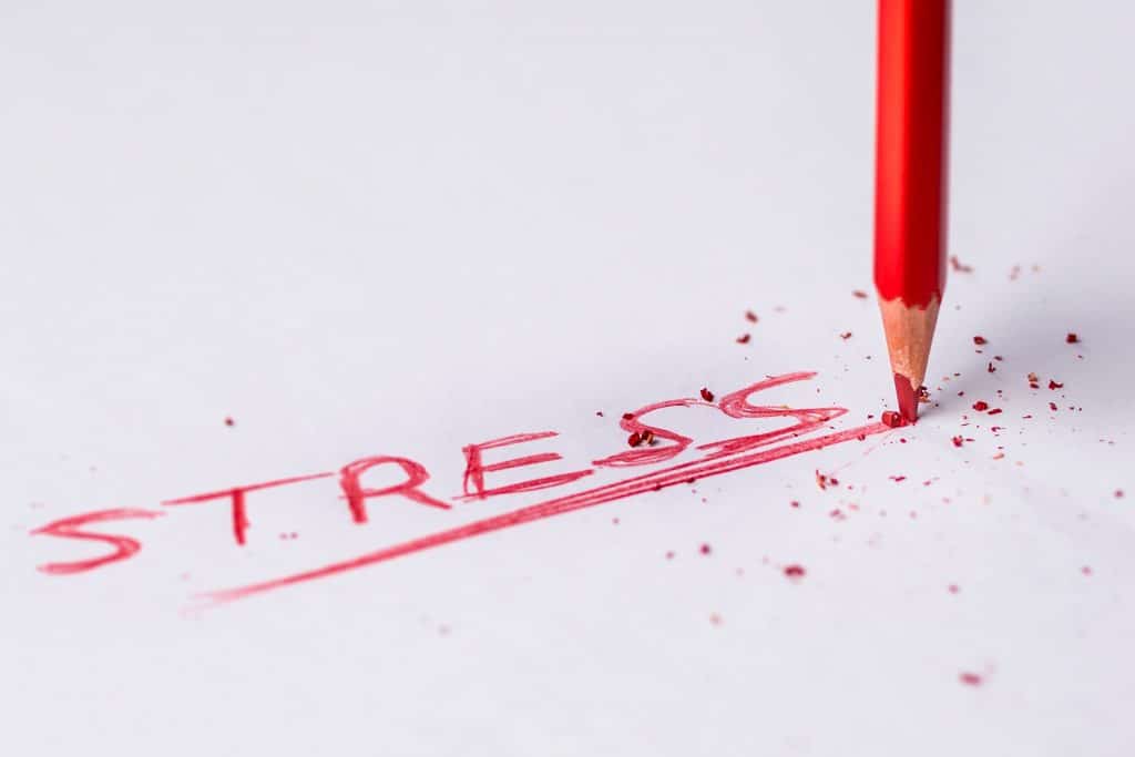 A stressz 3 fázisa a gyakorlatban – riasztás, ellenállás és kimerültség